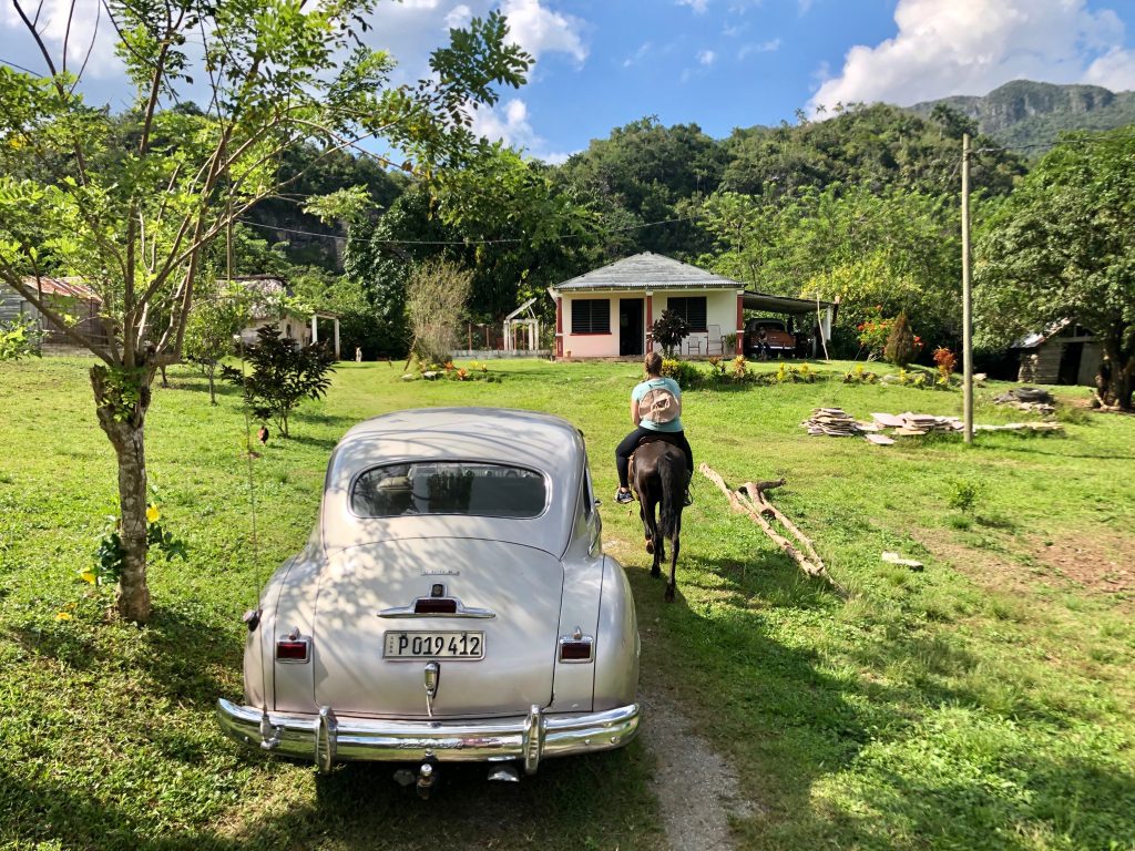 Vinales coffee farm