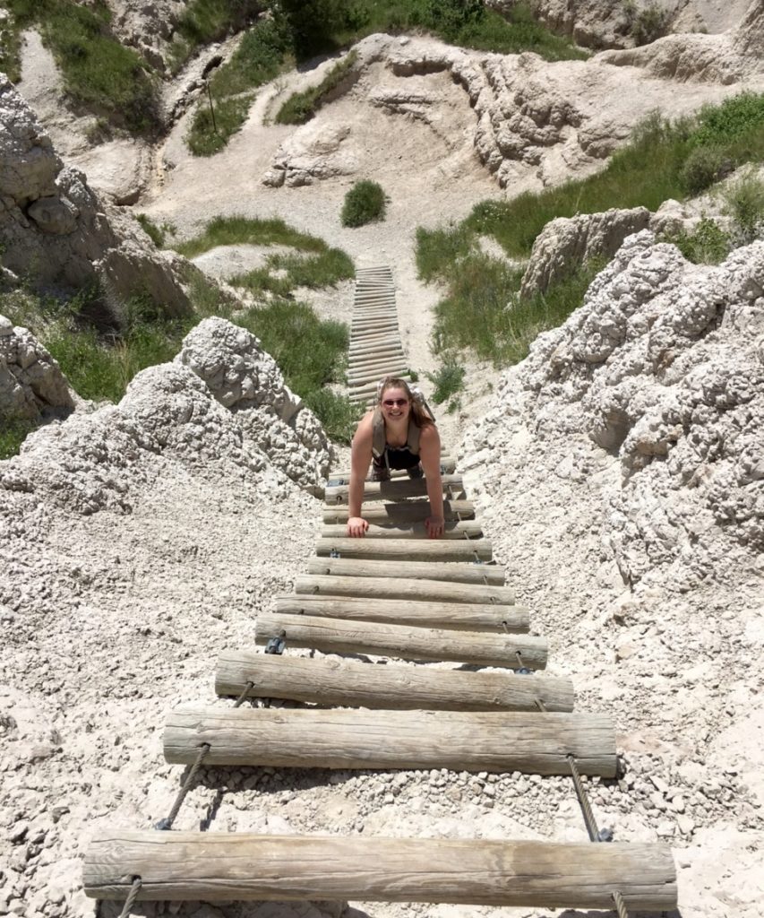 Log Ladder Badlands